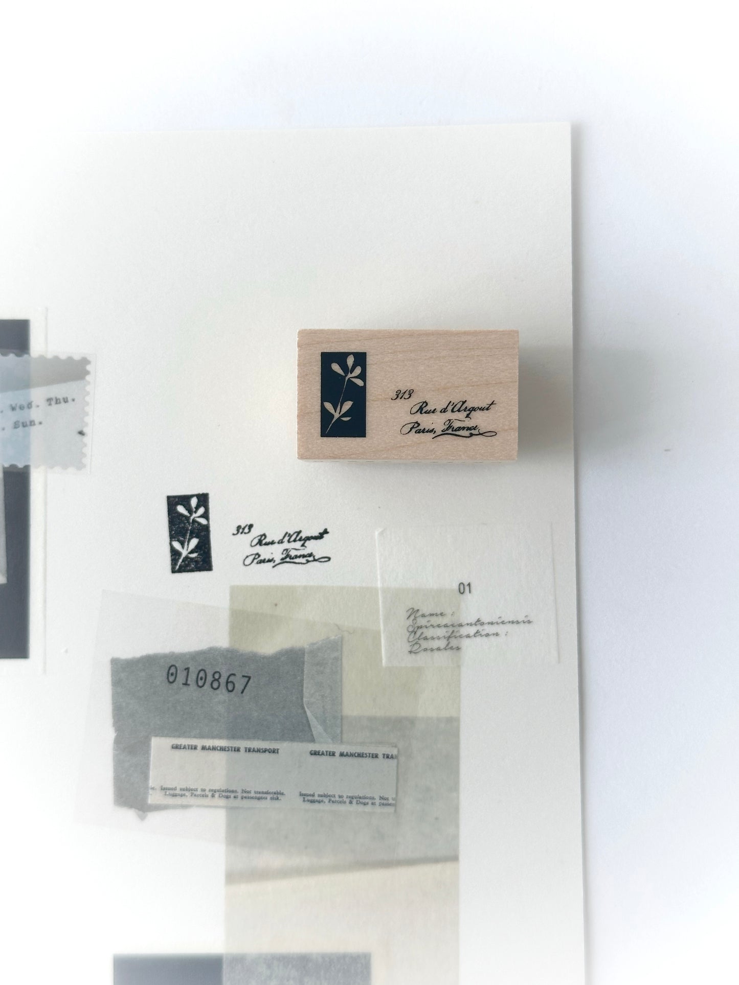 Vol 7 The Bloom Series III