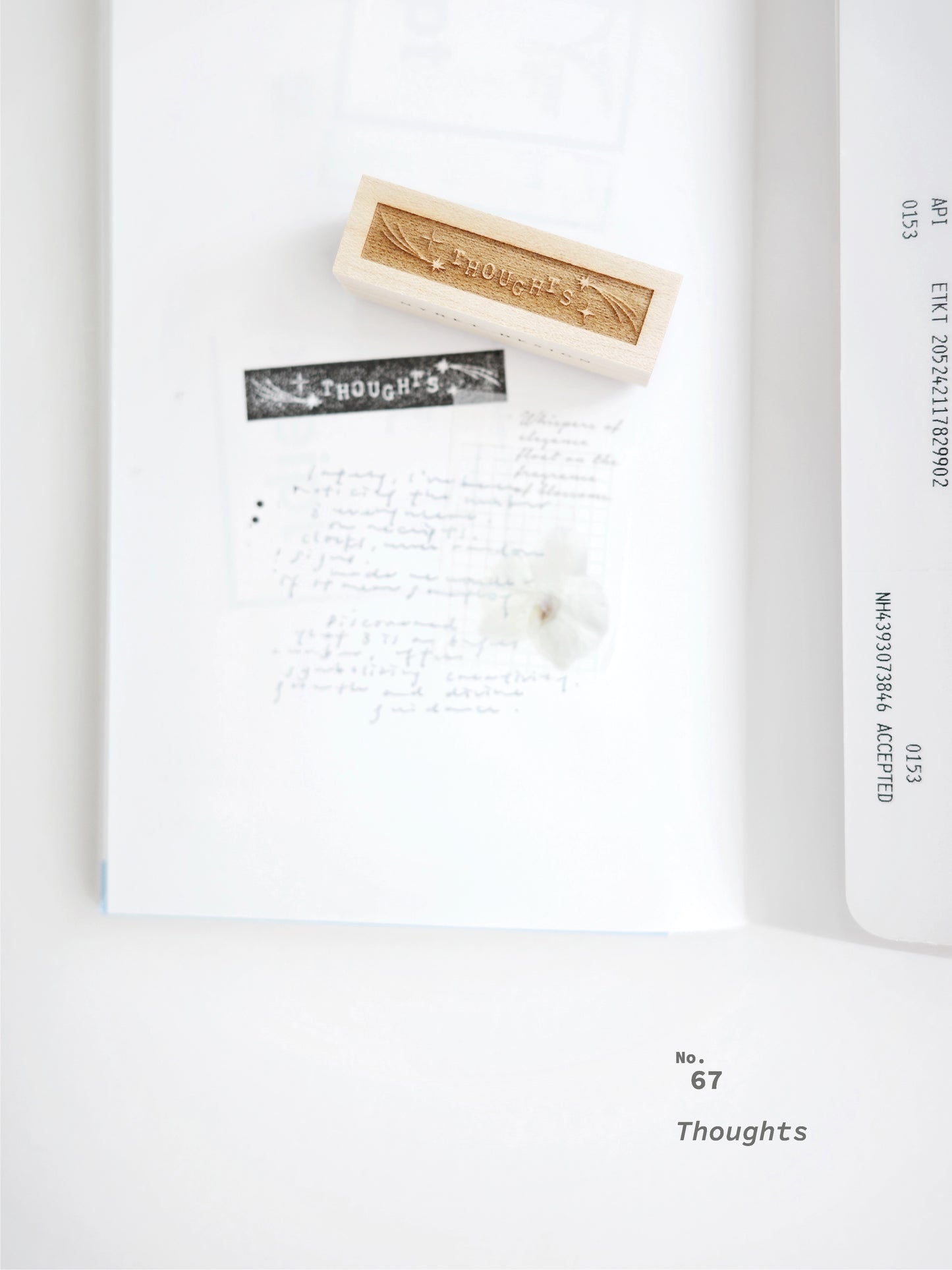 Vol 11 One day